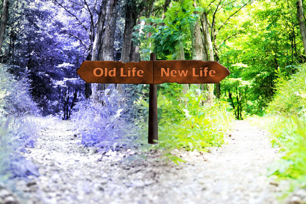 Old Life or New Life?